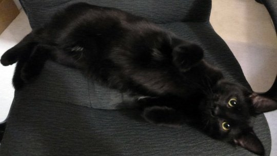 Strudel